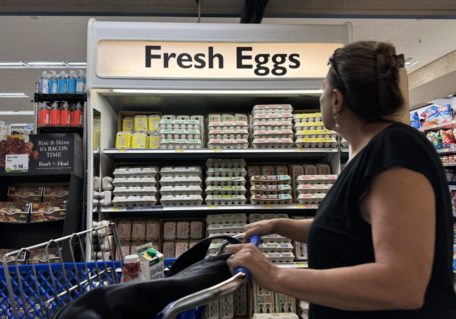 eggs