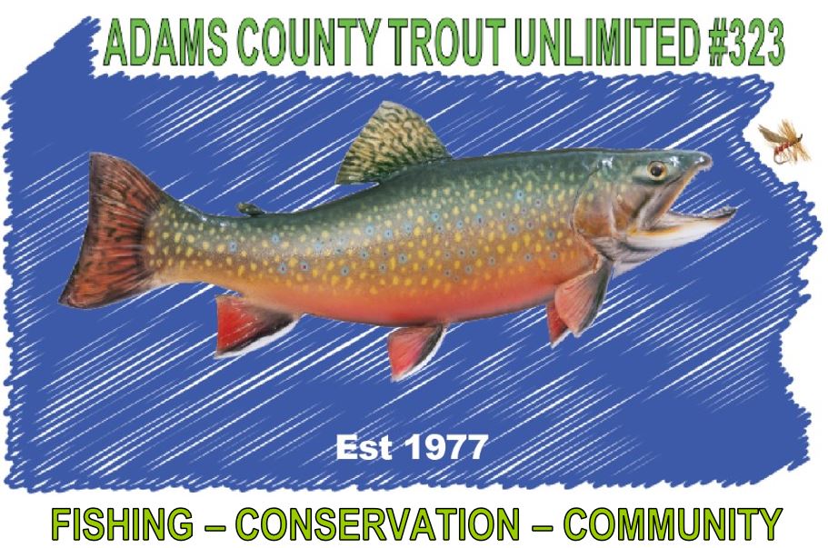 Want to learn how to fish? Trout Unlimited might be able to help.