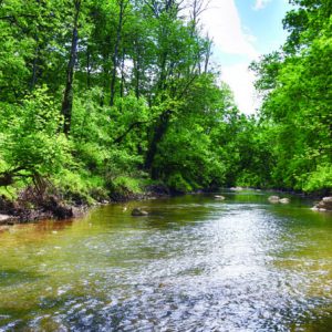 Rock Creek runs through the Gettysburg battlefield. Photo By Melissa A. Winn