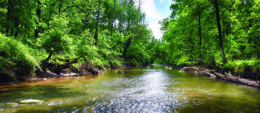 Rock Creek runs through the Gettysburg battlefield. Photo By Melissa A. Winn e1738526593205