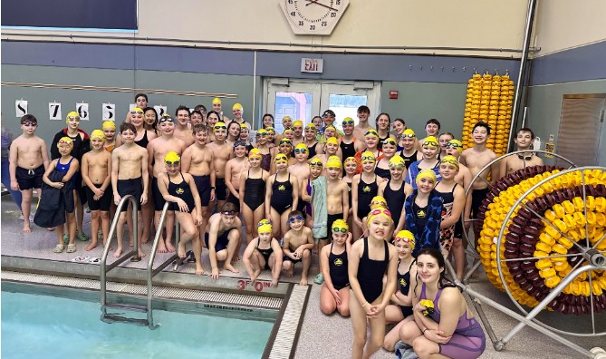 gbg sharks