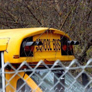 school bus 2 1536x1024 1