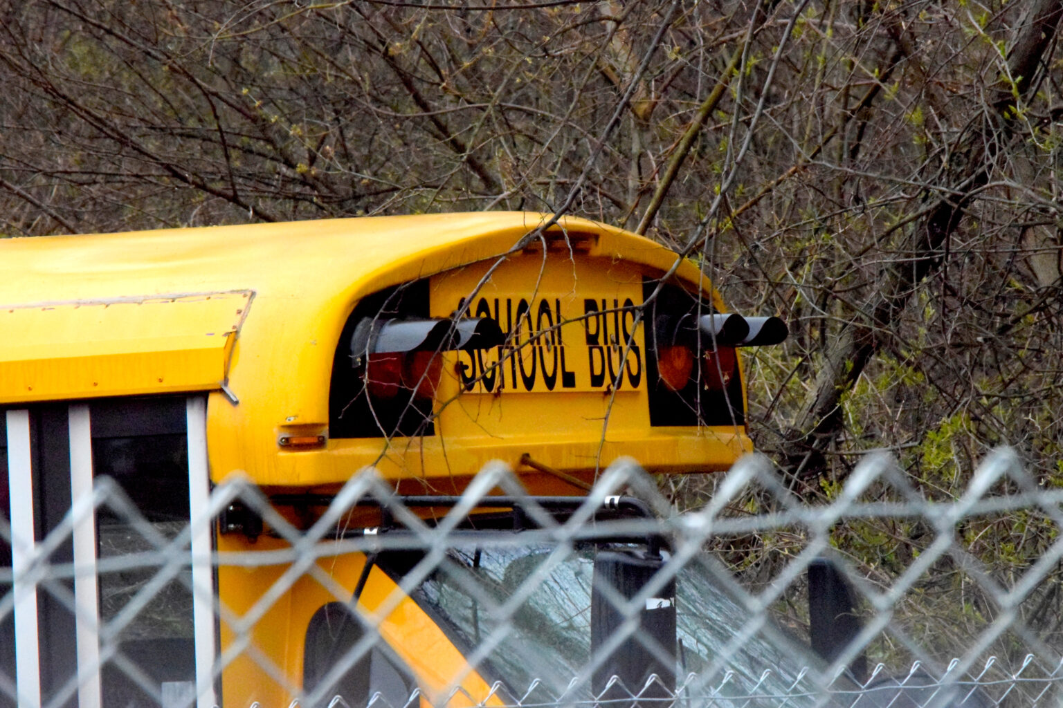 school bus 2 1536x1024 1