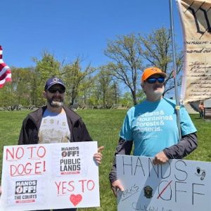 peace light protest