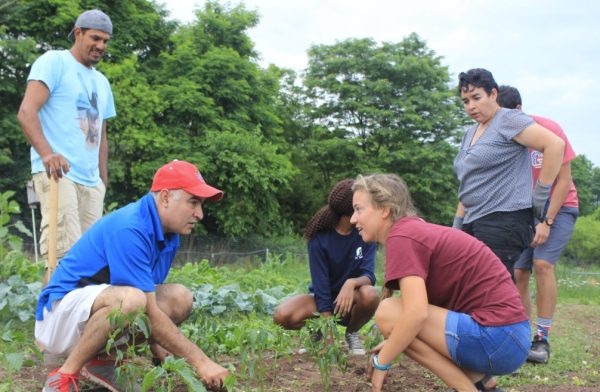 Painted Turtle Farm announces 2025 CSA offerings