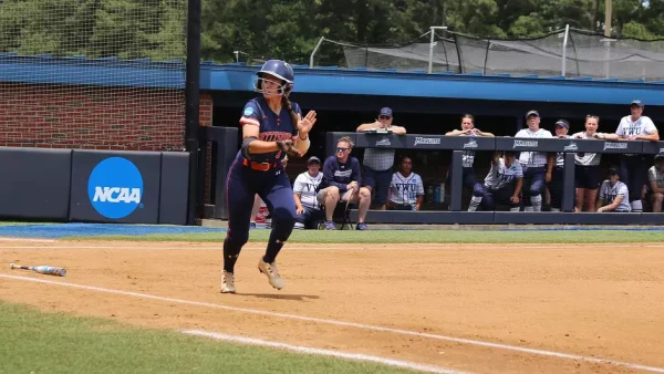 softball playoffs