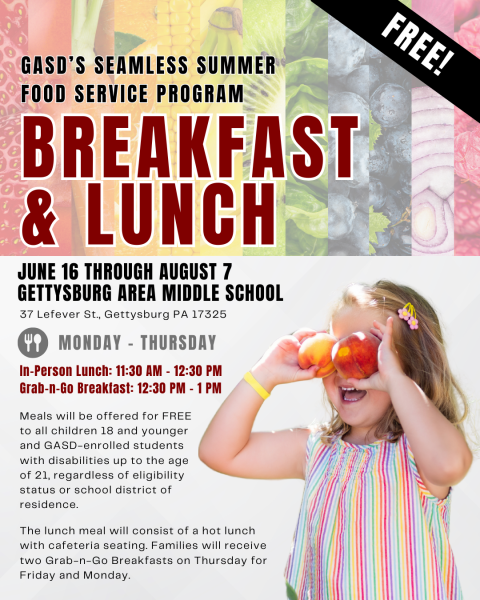 GASD Summer Meal Program Flyer IG