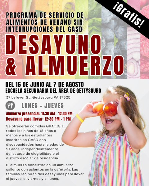 GASD Summer Meal Program Flyer Spanish Version IG