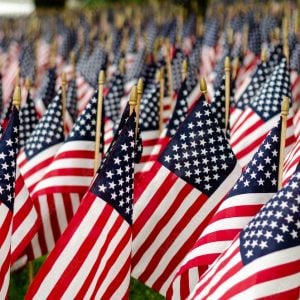 Field of American Flags on Memorial Day