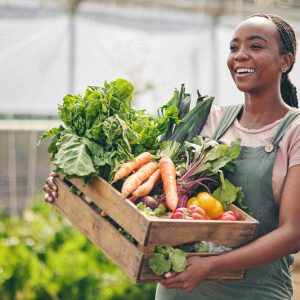 Woman, farming and vegetables in greenhouse for agriculture, supply chain or business with green product in basket. Happy African farmer or supplier with gardening for NGO, nonprofit or food security