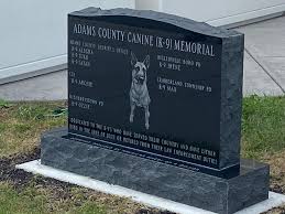 canine