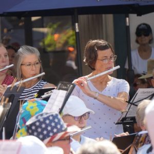 flute flock