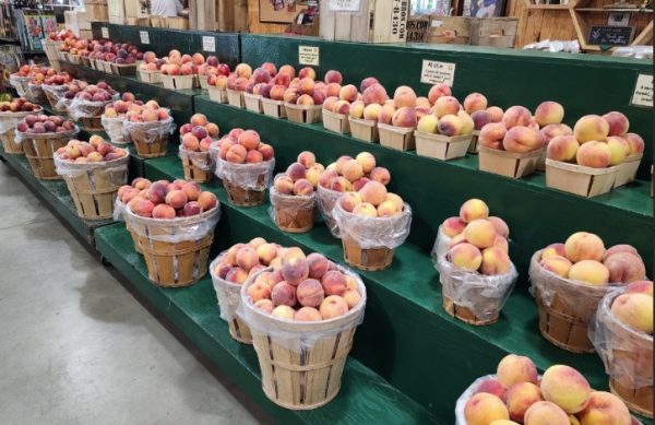 peaches