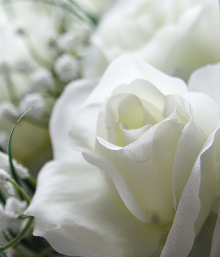 Obituary:  Mary E. Stover