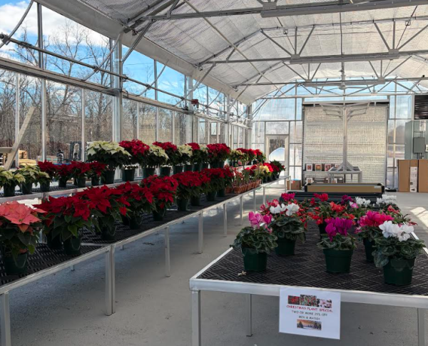 greenhouse