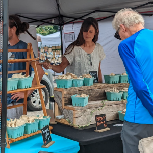 farmers market