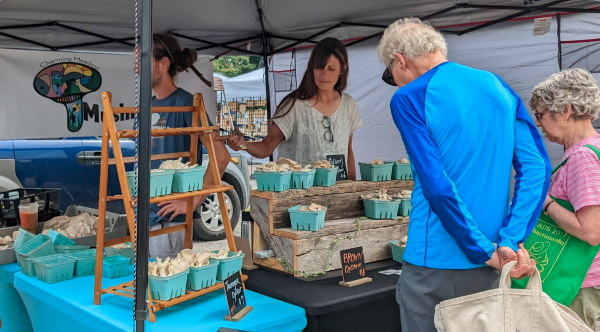 farmers market
