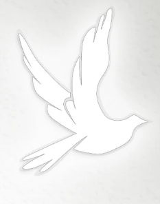 file1c41bb7759