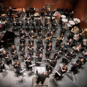 ESL Symphony 11 crop Medium