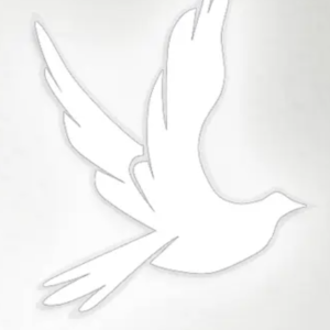 file15f4a8691