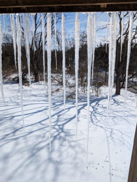 icicle