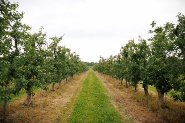 29428 gov cropFreeze DZ 018