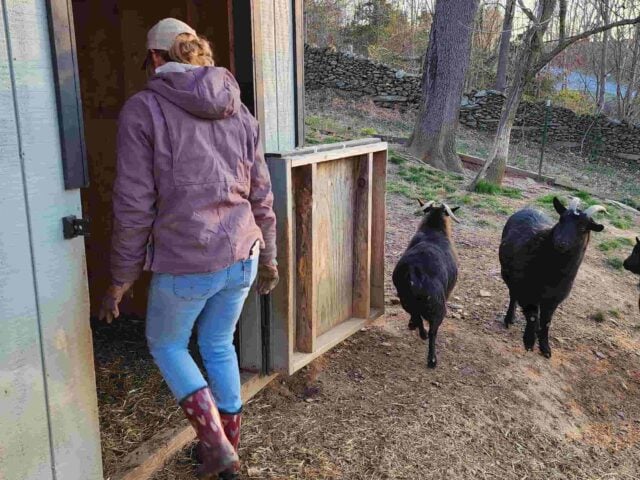 PA Local Heroes: The farm owner who turned her property into a haven for military vets, families