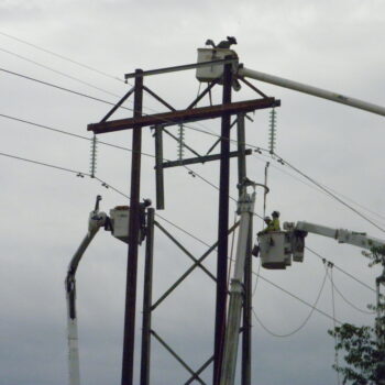 P6220026
