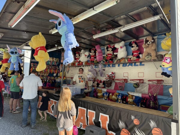 south mountain fair