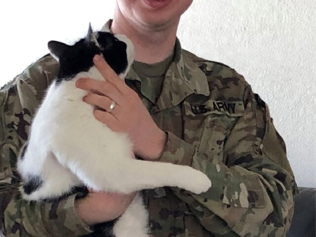 Operation Foster: No Pet Left Behind Helps PA Heroes When They Need It Most