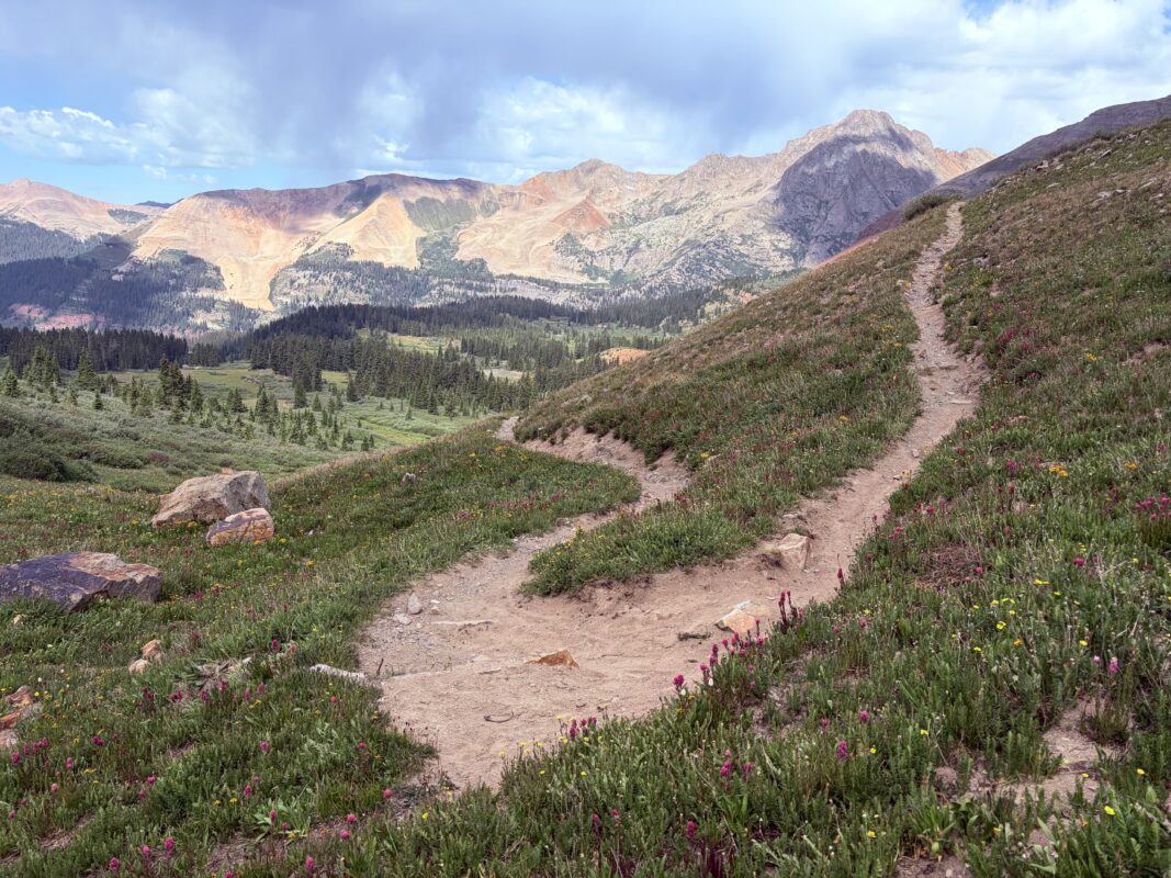 IMG 0154