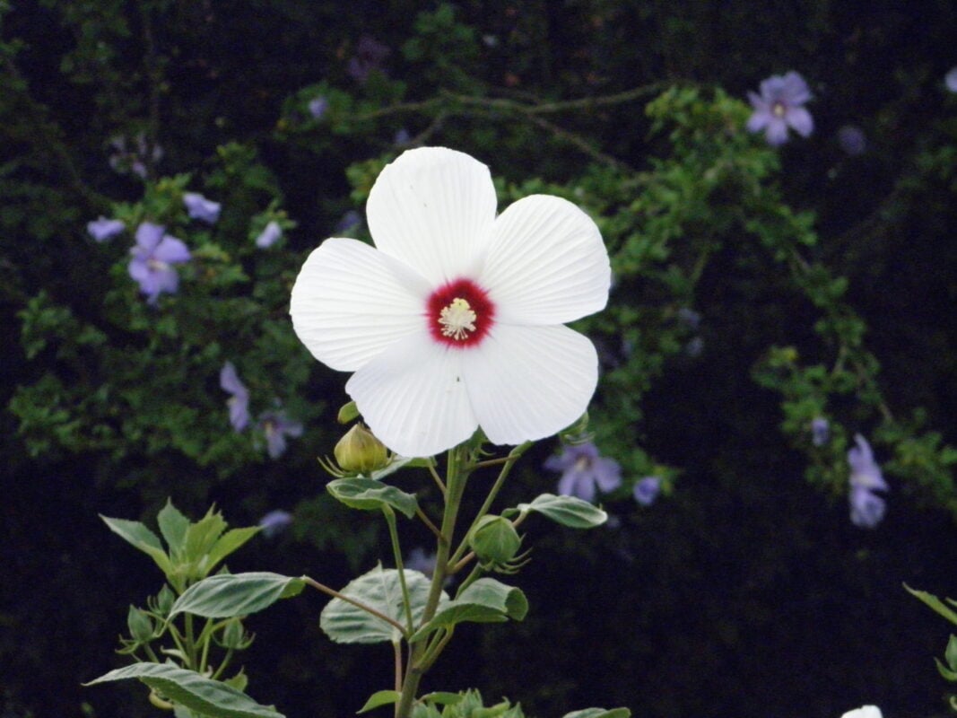 P8040003