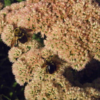 Summer 2026 Photo Contest 10 P9090050