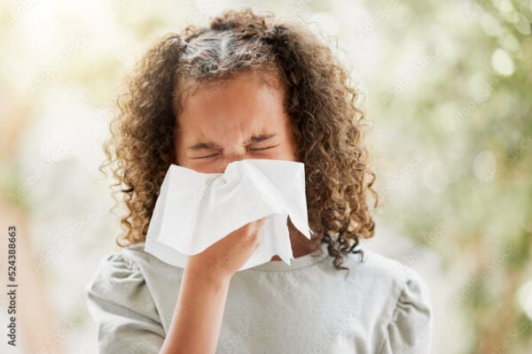 Sick little girl with a flu, blowing her nose and looking uncomfortable. Child suffering with sinus, allergies or covid symptoms and feeling unwell. Kid with a cold sneezing and holding a tissue
