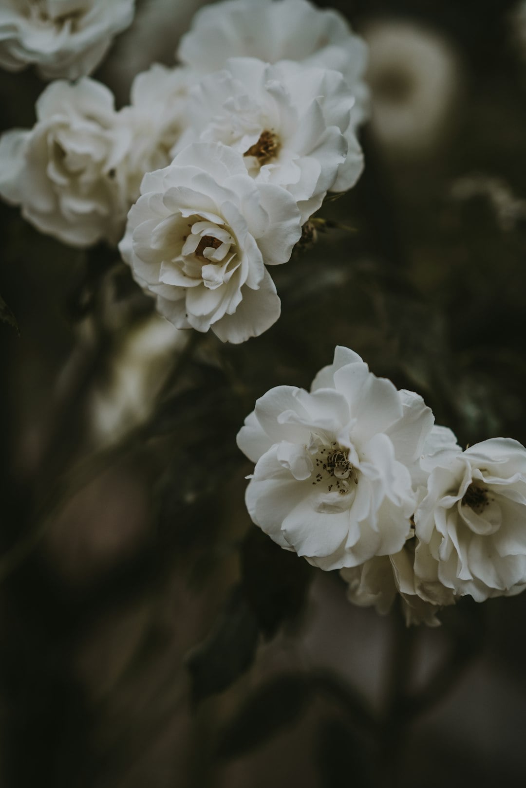 Theresa M. Hardman-Myers, 79, of East Berlin