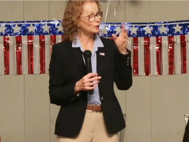 Democratic candidates discuss data centers, housing at Gettysburg town hall